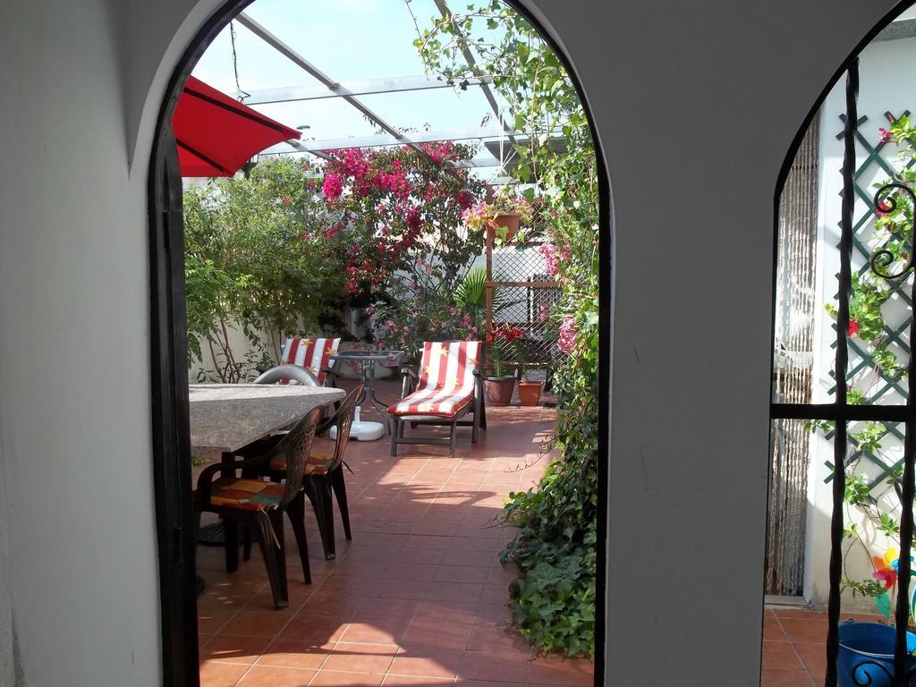 Madamme Curie Apartment Torrevieja Eksteriør billede